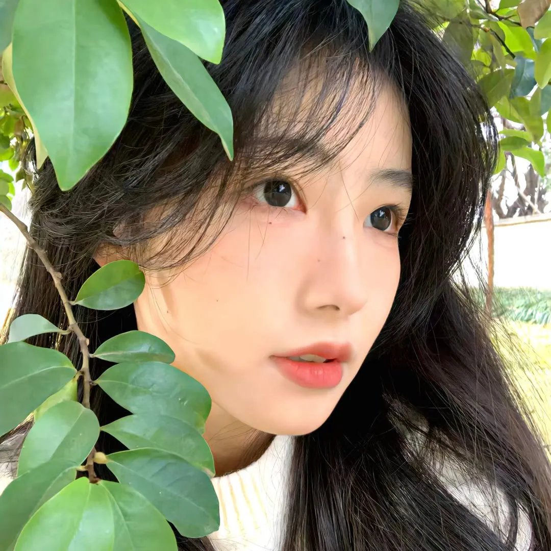 叶罗丽梦奇境真人版